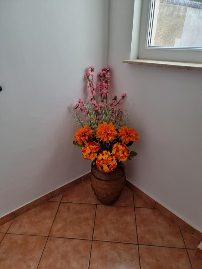 Apartments Katarina Šmrika المظهر الخارجي الصورة